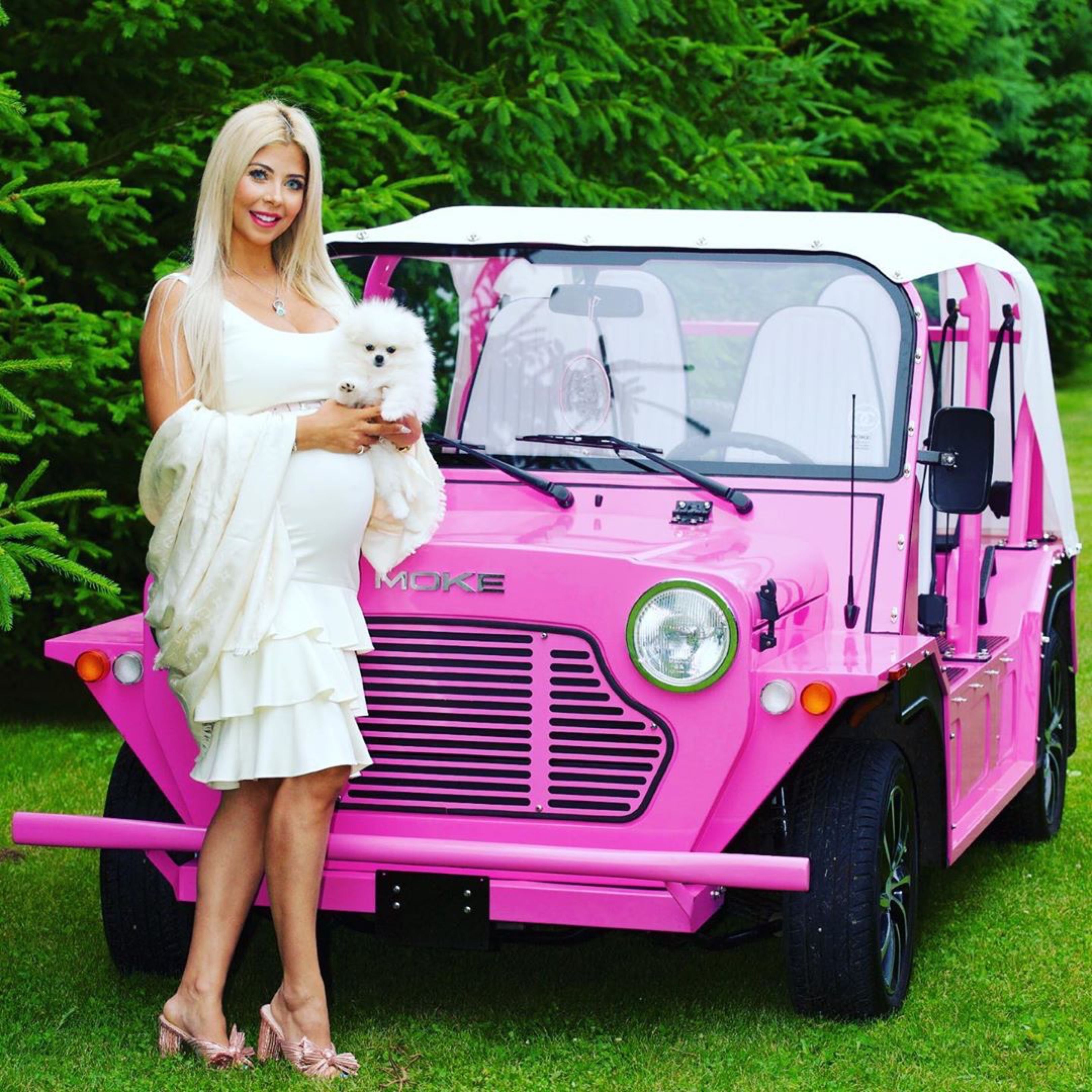 Moke EV Jacksonville Florida